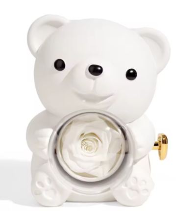 Rose Bear Giftbox